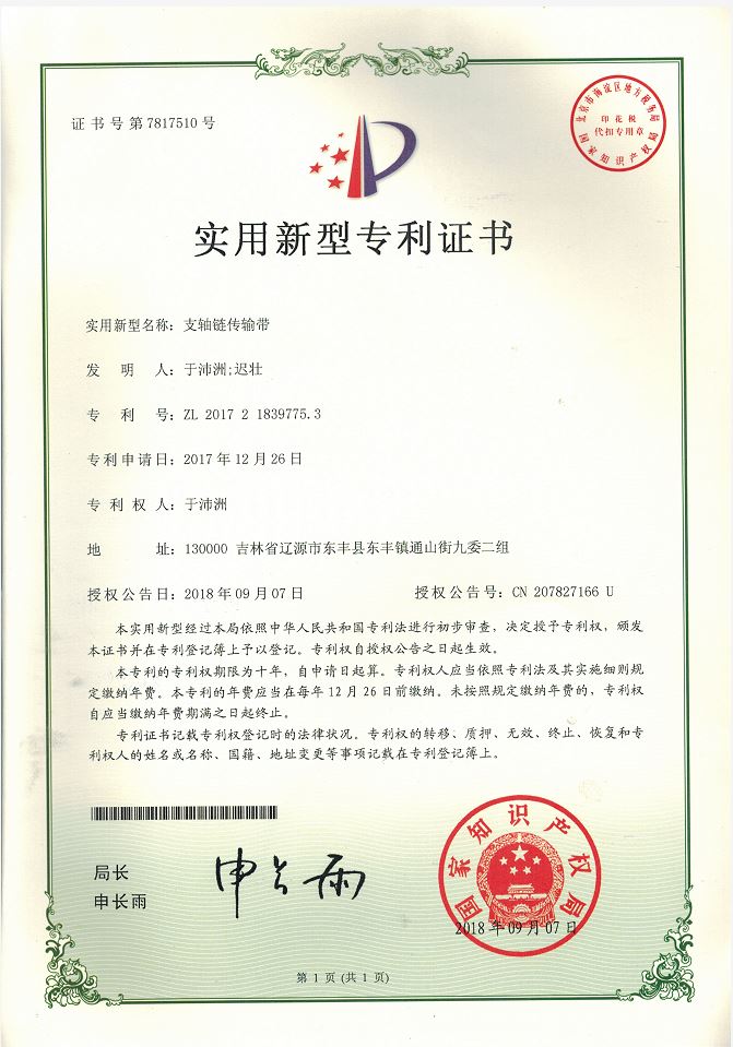 支轴链传输带实用新型专利